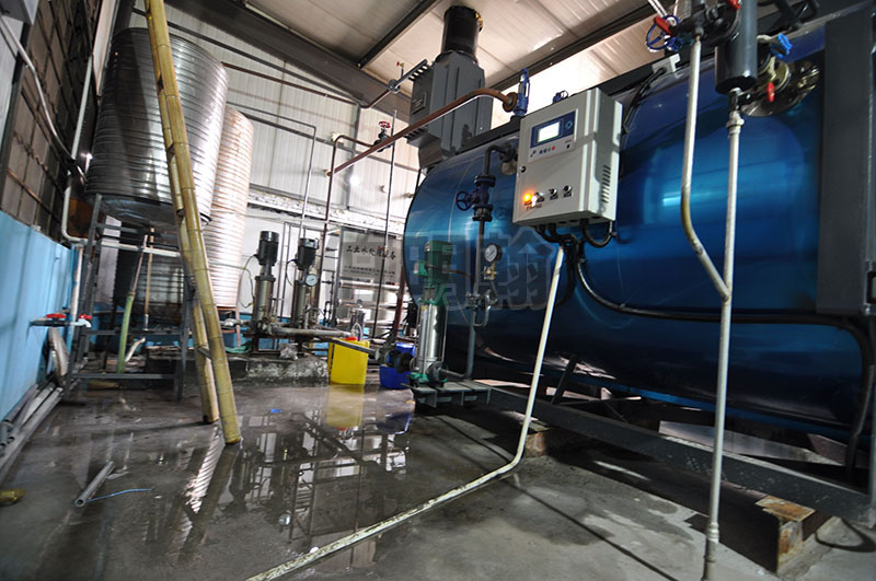 小型天然气蒸汽锅炉水处理